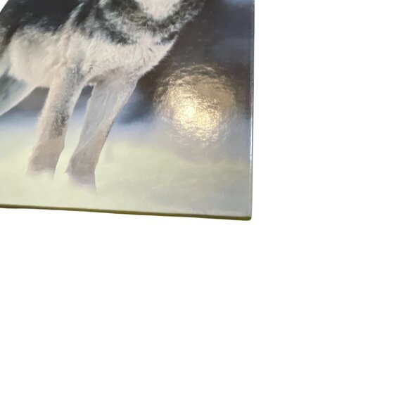 1989 Audubon Nature Yearbook By Les Line Editor Hardcover Book - Picture 4 of 8